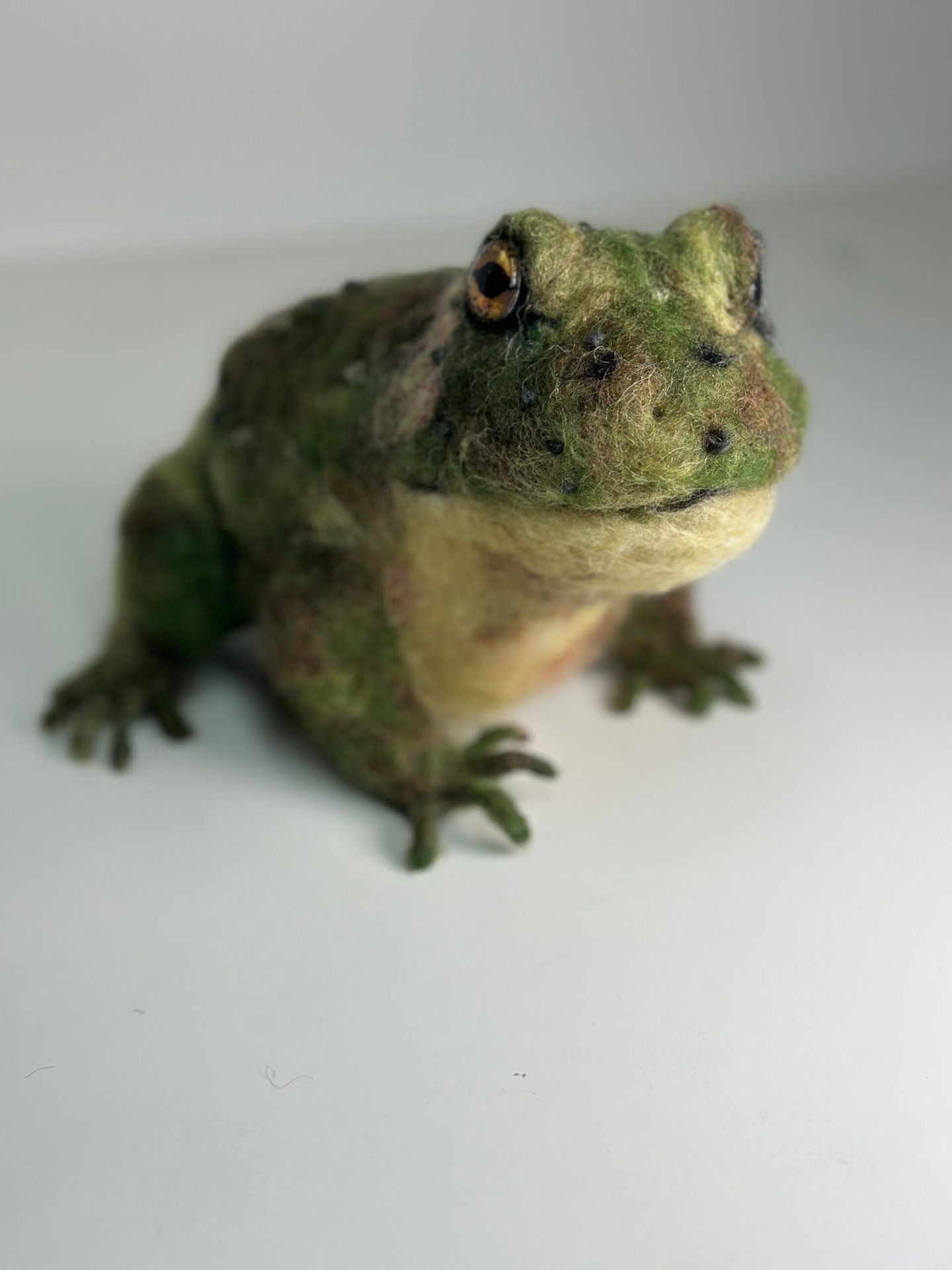 3D Pet Portrait of a frog in felt