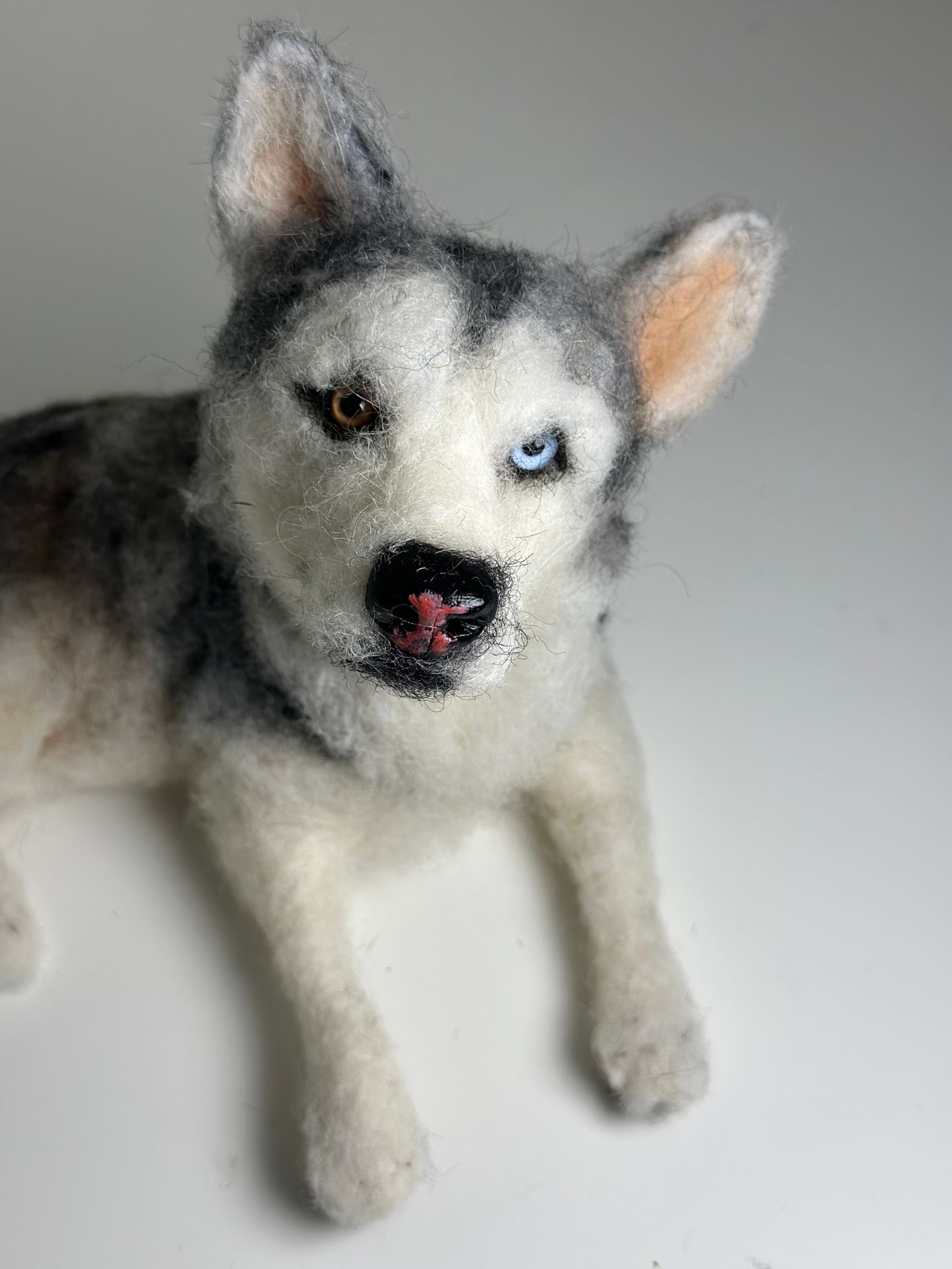 3D Pet Portrait of a grey dog in felt